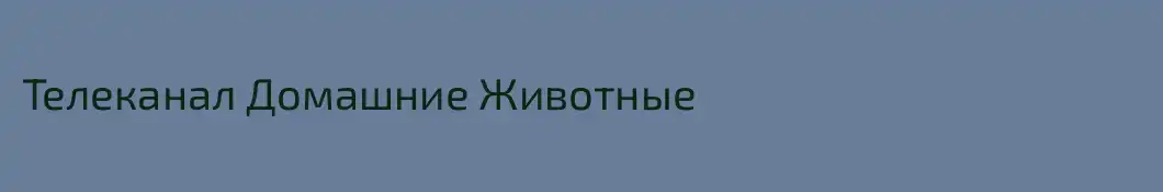 Телеканал Домашние Животные